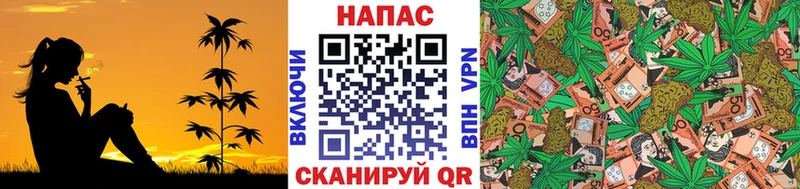 Где купить Малая Вишера Кокаин  МЕФ  Alpha-PVP  Бошки Шишки 