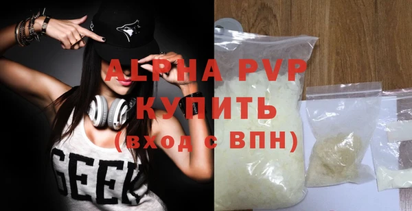 стафф Каменногорск