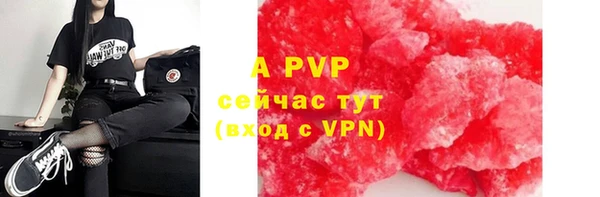 стафф Каменногорск