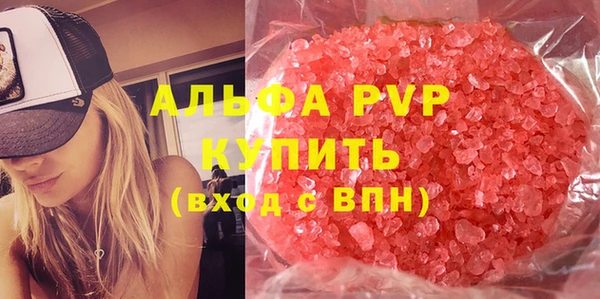 стафф Каменногорск