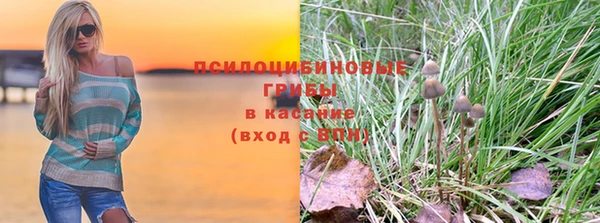 винт Каменка