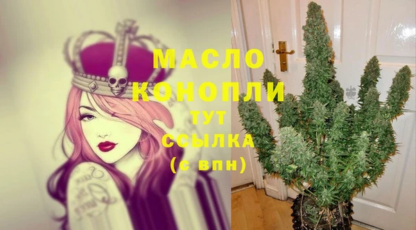 винт Каменка