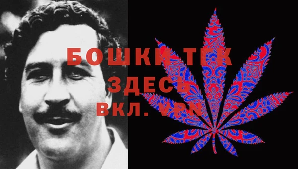 стафф Каменногорск