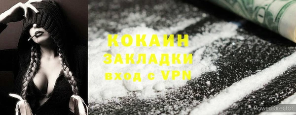винт Каменка