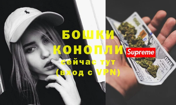 винт Каменка